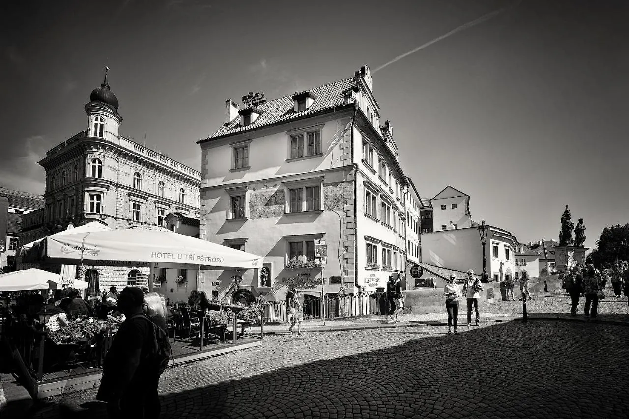 Hotel U 3 Pstrosu Prague