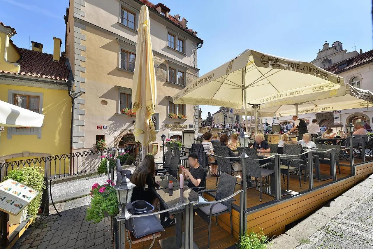 Hotel U 3 Pstrosu Prague