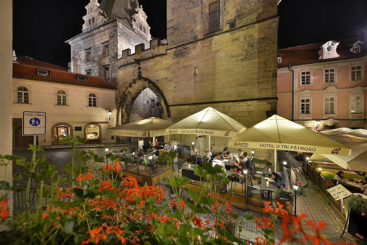Hotel U 3 Pstrosu Prague