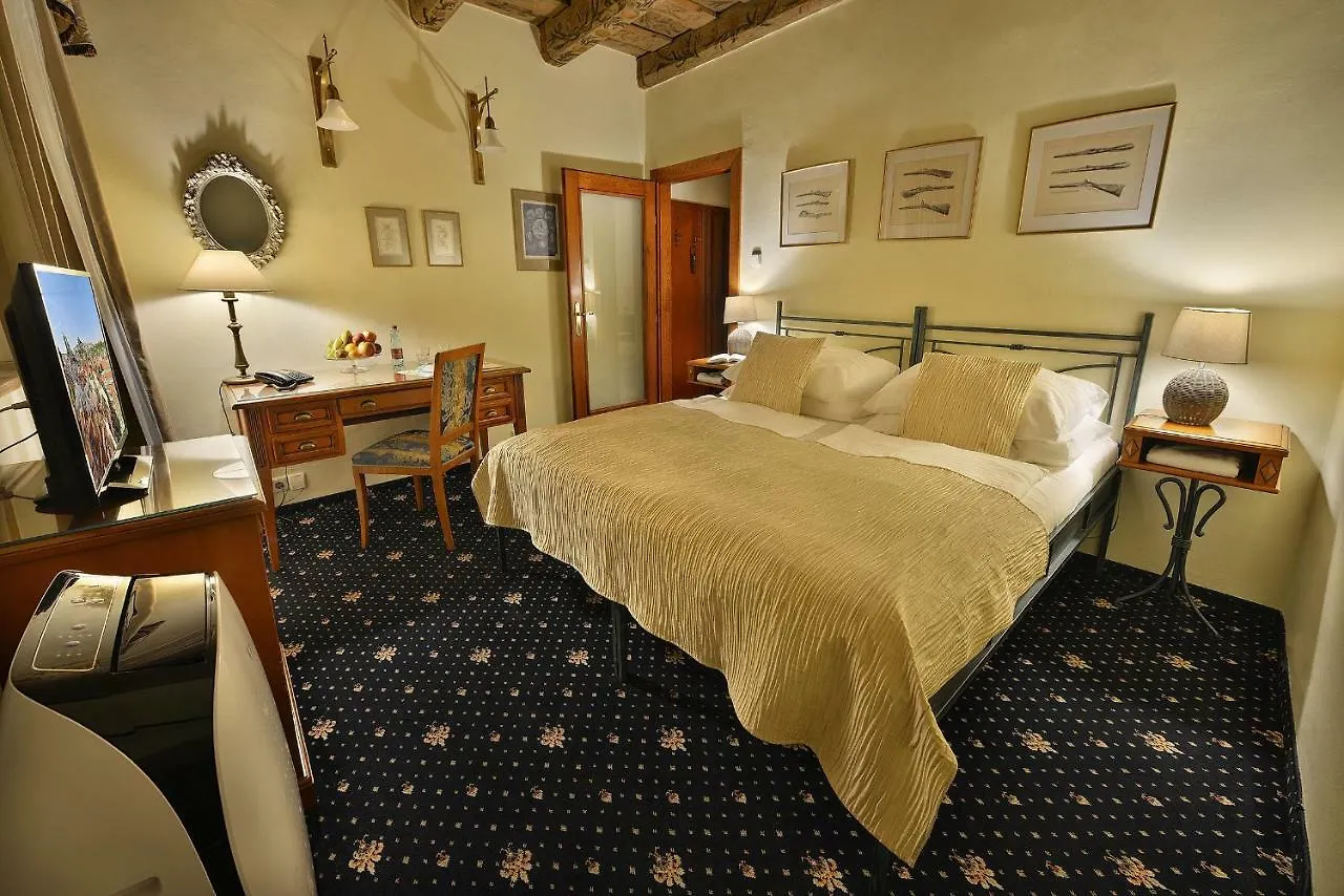 Hotel U 3 Pstrosu Prague