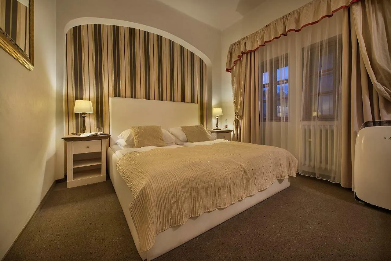 Hotel U 3 Pstrosu Prague