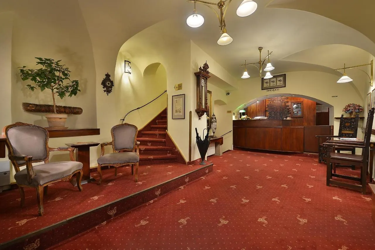 Hotel U 3 Pstrosu Prague